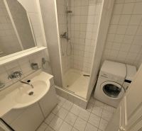 A bathroom in a 3-room apartment with a sink, shower, and washing machine.