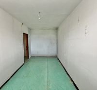 An empty room in a 3-bedroom apartment with a green base on the floor.