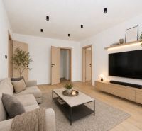 Living room in a 3-room apartment with a sofa, television, and floor with a wooden decor.