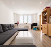 Living room with a dark sofa and a wooden decor floor in a studio apartment.