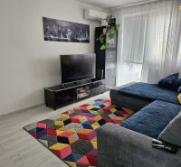 Living room in a 4-room apartment with a colorful carpet and wooden decor flooring.