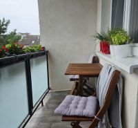 Balcony of a 4-room apartment with wooden furniture and plants, floor with wooden decor.