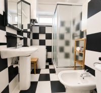 Black and white bathroom with a shower and a washing machine in a studio apartment.