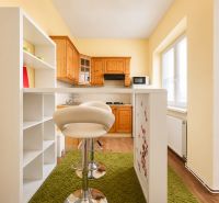 A kitchen with wooden decor in a studio apartment, a bar counter, and a green carpet.