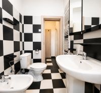 A bathroom with black and white tiles and ceramic sanitary equipment in a studio apartment.