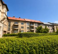 Apartment buildings with balconies and greenery on Národná Street in the city center.