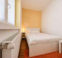 A bedroom in a studio apartment with a wood-patterned floor and an orange carpet.