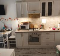 A kitchen with a dining table in a studio apartment, floor with wood decor.