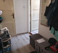 Cozy hallway with wood-patterned flooring in a studio apartment.