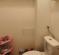 A toilet with beige tiles and a shelf with cleaning products in a studio apartment.
