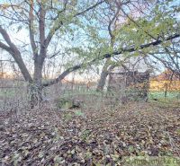 A natural plot in Nová Vieska with wooded areas and an older wooden building.