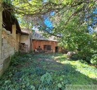 An abandoned house surrounded by greenery in Nová Vieska suitable for residential plots.