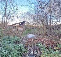 Forest land for living in Nová Vieska with an abandoned cottage and natural surroundings.