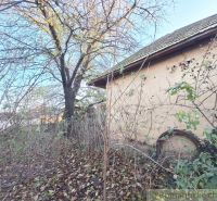 An overgrown residential plot in Nová Vieska with an abandoned building and trees.