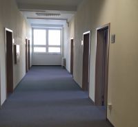 Offices with carpeted floors and a row of white doors in the hallway.