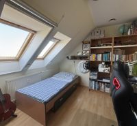 Attic room with skylights, a bed, a bookshelf, and a wooden decor floor.