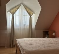 A bedroom in a 4-room apartment with a wooden decor floor and a slanted ceiling.