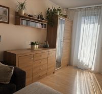 Living room with wood-patterned flooring, furniture, and houseplants in a 4-room apartment.