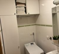 Bathroom in a 4-room apartment with cabinets, a washing machine, a mirror, and plants.
