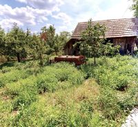The garden at the family house on Kamenec in Vrbovce with a wooden structure and vegetation.