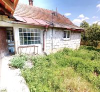 A family house in Kamenec in Vrbovce with a garden full of greenery near an older facade.