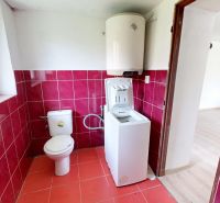 A bathroom in a family house with a washing machine, toilet, and striking red tiles.