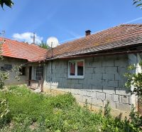 A family house on Kamenec Street in the village of Vrbovce surrounded by greenery with an apple tree.