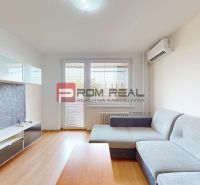 Living room in a 3-room apartment with a sofa and wooden decor flooring.