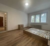 A bedroom in a 2-room apartment with a wood-patterned floor and large windows.
