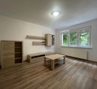 Living room in a two-room apartment with a wooden decor floor and furniture.