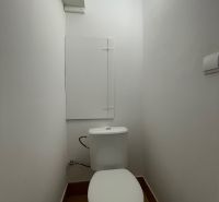 A bathroom with simple furnishings in a 2-room apartment, floor with wooden decor.