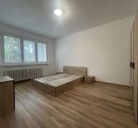 A bedroom in a 2-room apartment with a wood-patterned floor and basic furniture.