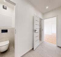 A toilet with ceramic tiles and a transition to a room with a wooden decor floor.