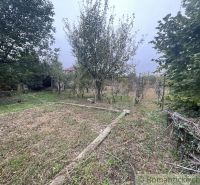 A garden at a family house in Šurany with fruit trees and grapevines.