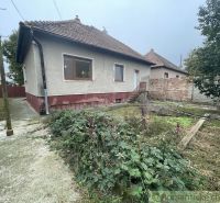 A family house in Šurany with a concrete yard and a garden full of plants.