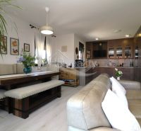 Recreational apartment with a kitchen, dining table, and sofa, floor with wooden decor.