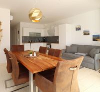Recreational apartment with wood-patterned flooring, kitchen, and dining table with chairs.