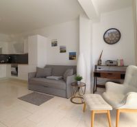 Recreational apartment with a comfortable sofa, chairs, and kitchen; interior with wood-patterned flooring.