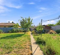 The garden of a family house in Veľký Meder with trees and grass.