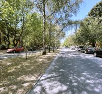 Trees along A. Hlinka Street in Piešťany, an ideal location near a 4-room apartment.