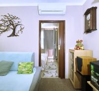 A tree decoration on the wall next to a light blue sofa, an aquarium, and antique clocks.