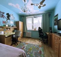 Children's room with cartoon characters, wooden decor floor, desk, and television.
