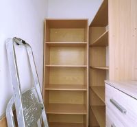 Storage space in a 4-room apartment with shelves and a ladder.