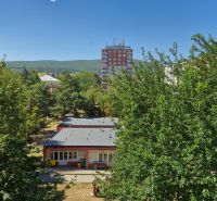 Trees and buildings on Dukelská Street in Nové Mesto nad Váhom, mountains in the background.
