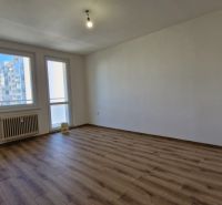 Spacious room in a 3-room apartment with a wood-patterned floor and a large window.