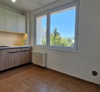 Kitchen in a 3-room apartment, floor with wooden decor, view from the window.