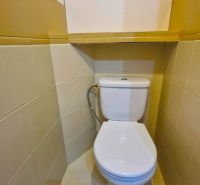 A toilet in a 3-room apartment with simple tiles and a back-tank toilet.