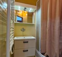 A bathroom with a shower and a sink in a 3-room apartment.