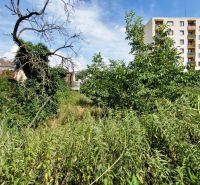 Overgrown commercial plots on Piešťanská in Nové Mesto nad Váhom, with an apartment building in the background.