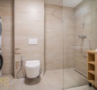 Bathroom with a shower and a washing machine in a 4-room apartment with a wooden decor floor.